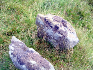 2005-08-07-13-43-09_cadover_hartor_ringmoor_wigford_aug_05-015_cadover_plym_hartor_gutter_ringmoor_wigford.jpg  cadover_plym_hartor_gutter_ringmoor_wigford 