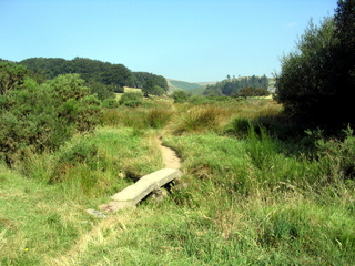 2005-08-17-10-35-36_postbridge_fur_tor_aug_05-001_postbridge_firtor.jpg 2005-08-17-10-35-36_postbridge_fur_tor_aug_05-001_postbridge_firtor.jpg postbridge_firtor