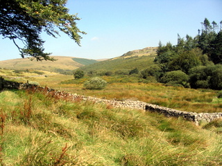 2005-08-17-10-40-45_postbridge_fur_tor_aug_05-002_postbridge_firtor.jpg 2005-08-17-10-40-45_postbridge_fur_tor_aug_05-002_postbridge_firtor.jpg postbridge_firtor