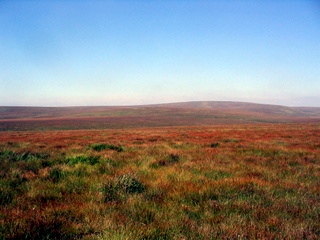 2005-08-17-11-36-08_postbridge_fur_tor_aug_05-007_postbridge_firtor.jpg 2005-08-17-11-36-08_postbridge_fur_tor_aug_05-007_postbridge_firtor.jpg postbridge_firtor