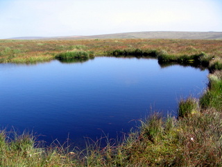 2005-08-17-11-50-54_postbridge_fur_tor_aug_05-009_postbridge_firtor.jpg 2005-08-17-11-50-54_postbridge_fur_tor_aug_05-009_postbridge_firtor.jpg postbridge_firtor