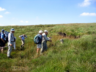 2005-08-17-12-27-46_postbridge_fur_tor_aug_05-012_postbridge_firtor.jpg 2005-08-17-12-27-46_postbridge_fur_tor_aug_05-012_postbridge_firtor.jpg postbridge_firtor