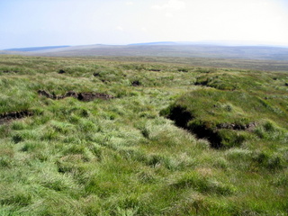 2005-08-17-12-36-11_postbridge_fur_tor_aug_05-014_postbridge_firtor.jpg 2005-08-17-12-36-11_postbridge_fur_tor_aug_05-014_postbridge_firtor.jpg postbridge_firtor