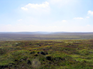 2005-08-17-12-36-20_postbridge_fur_tor_aug_05-015_postbridge_firtor.jpg 2005-08-17-12-36-20_postbridge_fur_tor_aug_05-015_postbridge_firtor.jpg postbridge_firtor