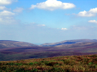 2005-08-17-12-45-37_postbridge_fur_tor_aug_05-018_postbridge_firtor.jpg 2005-08-17-12-45-37_postbridge_fur_tor_aug_05-018_postbridge_firtor.jpg postbridge_firtor