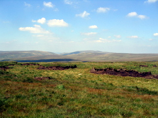 2005-08-17-14-02-35_postbridge_fur_tor_aug_05-027_postbridge_firtor.jpg 2005-08-17-14-02-35_postbridge_fur_tor_aug_05-027_postbridge_firtor.jpg postbridge_firtor