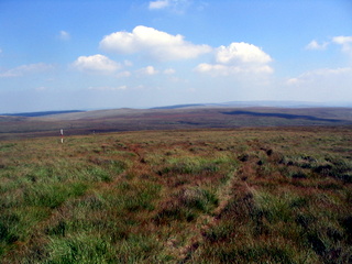 2005-08-17-14-11-30_postbridge_fur_tor_aug_05-028_postbridge_firtor.jpg 2005-08-17-14-11-30_postbridge_fur_tor_aug_05-028_postbridge_firtor.jpg postbridge_firtor