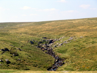 2005-08-17-15-32-11_postbridge_fur_tor_aug_05-035_postbridge_firtor.jpg 2005-08-17-15-32-11_postbridge_fur_tor_aug_05-035_postbridge_firtor.jpg postbridge_firtor