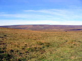 2005-08-21-10-45-16_batworthy_watern_teignhead_aug_05-003_batworthy_watern_teignhead.jpg 2005-08-21-10-45-16_batworthy_watern_teignhead_aug_05-003_batworthy_watern_teignhead.jpg batworthy_watern_teignhead