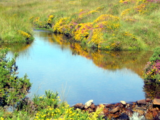 2005-08-21-11-00-47_batworthy_watern_teignhead_aug_05-011_batworthy_watern_teignhead.jpg 2005-08-21-11-00-47_batworthy_watern_teignhead_aug_05-011_batworthy_watern_teignhead.jpg batworthy_watern_teignhead