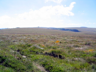 2005-08-21-11-16-28_batworthy_watern_teignhead_aug_05-014_batworthy_watern_teignhead.jpg 2005-08-21-11-16-28_batworthy_watern_teignhead_aug_05-014_batworthy_watern_teignhead.jpg batworthy_watern_teignhead