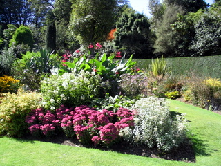 2005-09-06-14-27-23_lanhydrock_garden_sept_05-009_lanhydrock_garden_sept_05.jpg 2005-09-06-14-27-23_lanhydrock_garden_sept_05-009_lanhydrock_garden_sept_05.jpg lanhydrock_garden_sept_05