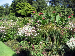 2005-09-06-14-29-51_lanhydrock_garden_sept_05-011_lanhydrock_garden_sept_05.jpg 2005-09-06-14-29-51_lanhydrock_garden_sept_05-011_lanhydrock_garden_sept_05.jpg lanhydrock_garden_sept_05