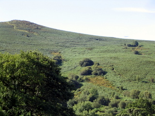 2005-09-07-10-41-12_chagford_hurston_teigncombe_sept_05-003_chagford_hurston_teigncombe.jpg  chagford_hurston_teigncombe 