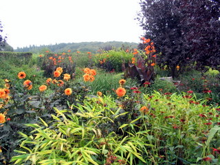 2005-09-11-11-41-10_rosemoor_garden_sept_05-007_rosemoor_garden_sept_05.jpg 2005-09-11-11-41-10_rosemoor_garden_sept_05-007_rosemoor_garden_sept_05.jpg rosemoor_garden_sept_05