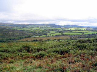 2005-09-14-12-54-21_newbridge_corndontors_sept_05-001_newbridge_corndontors.jpg 2005-09-14-12-54-21_newbridge_corndontors_sept_05-001_newbridge_corndontors.jpg newbridge_corndontors
