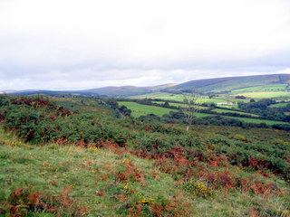 2005-09-14-12-54-32_newbridge_corndontors_sept_05-003_newbridge_corndontors.jpg 2005-09-14-12-54-32_newbridge_corndontors_sept_05-003_newbridge_corndontors.jpg newbridge_corndontors