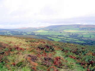 2005-09-14-12-59-36_newbridge_corndontors_sept_05-004_newbridge_corndontors.jpg 2005-09-14-12-59-36_newbridge_corndontors_sept_05-004_newbridge_corndontors.jpg newbridge_corndontors