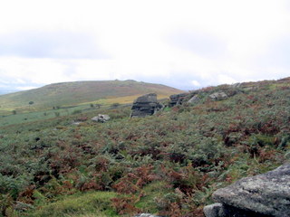 2005-09-14-13-04-39_newbridge_corndontors_sept_05-005_newbridge_corndontors.jpg 2005-09-14-13-04-39_newbridge_corndontors_sept_05-005_newbridge_corndontors.jpg newbridge_corndontors