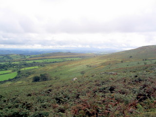 2005-09-14-13-04-45_newbridge_corndontors_sept_05-006_newbridge_corndontors.jpg 2005-09-14-13-04-45_newbridge_corndontors_sept_05-006_newbridge_corndontors.jpg newbridge_corndontors