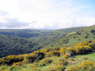 2005-09-14-14-50-25_newbridge_corndontors_sept_05-020_newbridge_corndontors.jpg 2005-09-14-14-50-25_newbridge_corndontors_sept_05-020_newbridge_corndontors.jpg newbridge_corndontors