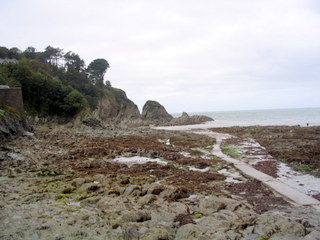 2005-09-15-12-57-41_moret_point_peninsular_sept_05-002_morte_point_peninsular_sept_05.jpg  morte_point_peninsular_sept_05 