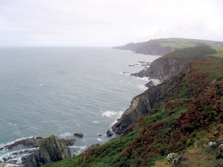 2005-09-15-14-02-32_moret_point_peninsular_sept_05-008_morte_point_peninsular_sept_05.jpg  morte_point_peninsular_sept_05 