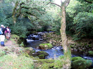 2005-10-02-12-32-12_devon_and_cornwall_oct_05-003_plym_bridge_clearbrook.jpg 2005-10-02-12-32-12_devon_and_cornwall_oct_05-003_plym_bridge_clearbrook.jpg plym_bridge_clearbrook