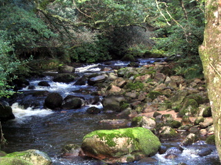2005-10-02-12-32-22_devon_and_cornwall_oct_05-004_plym_bridge_clearbrook.jpg 2005-10-02-12-32-22_devon_and_cornwall_oct_05-004_plym_bridge_clearbrook.jpg plym_bridge_clearbrook