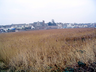 2006-01-25-13-20-18_exminster_exeter_canal-006_exminster_exeter_canal.jpg  exminster_exeter_canal 