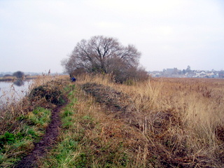 2006-01-25-13-29-39_exminster_exeter_canal-007_exminster_exeter_canal.jpg  exminster_exeter_canal 