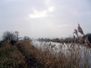 2006-01-25-13-30-42_exminster_exeter_canal-008_exminster_exeter_canal.jpg  exminster_exeter_canal 