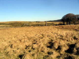 2006-01-29-14-36-26_postbridge_white_tor_bellever-004_postbridge_lower_higher_white_bellever.jpg 2006-01-29-14-36-26_postbridge_white_tor_bellever-004_postbridge_lower_higher_white_bellever.jpg postbridge_lower_higher_white_bellever