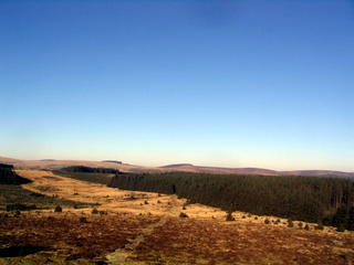 2006-01-29-15-36-16_postbridge_white_tor_bellever-013_postbridge_lower_higher_white_bellever.jpg 2006-01-29-15-36-16_postbridge_white_tor_bellever-013_postbridge_lower_higher_white_bellever.jpg postbridge_lower_higher_white_bellever