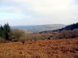 2006-01-30-15-28-18_north_bovey_easdon_tor-008_mortonhampstead_easdon_castle.jpg 2006-01-30-15-28-18_north_bovey_easdon_tor-008_mortonhampstead_easdon_castle.jpg mortonhampstead_easdon_castle