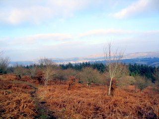 2006-01-30-15-31-05_north_bovey_easdon_tor-009_mortonhampstead_easdon_castle.jpg 2006-01-30-15-31-05_north_bovey_easdon_tor-009_mortonhampstead_easdon_castle.jpg mortonhampstead_easdon_castle