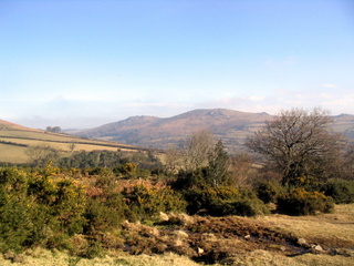 2006-02-05-11-55-01_widecombe_hameldown-001_widecombe_hameldown_heathercombe.jpg  widecombe_hameldown_heathercombe 