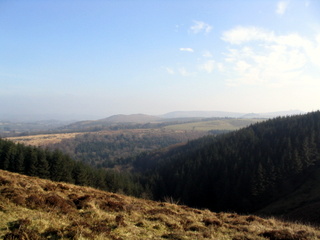 2006-02-05-14-21-06_widecombe_hameldown-007_widecombe_hameldown_heathercombe.jpg  widecombe_hameldown_heathercombe 
