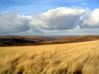 2006-02-08-16-11-01_pil_tor-011_buckland_pil_holwell_haytor_ripon.jpg 2006-02-08-16-11-01_pil_tor-011_buckland_pil_holwell_haytor_ripon.jpg buckland_pil_holwell_haytor_ripon