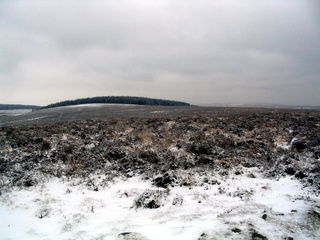 2006-02-23-14-26-02_chagford_common_water_hill-001_water_hill_stone_row.jpg 2006-02-23-14-26-02_chagford_common_water_hill-001_water_hill_stone_row.jpg water_hill_stone_row