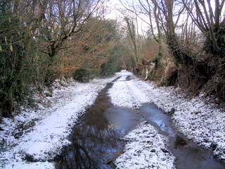 2006-03-01-12-07-08_chagford_common_coombe_down-003_chagfordcommon_shapley_coombe_down.jpg 2006-03-01-12-07-08_chagford_common_coombe_down-003_chagfordcommon_shapley_coombe_down.jpg chagfordcommon_shapley_coombe_down