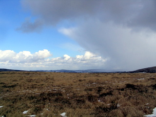2006-03-01-13-37-10_chagford_common_coombe_down-004_chagfordcommon_shapley_coombe_down.jpg 2006-03-01-13-37-10_chagford_common_coombe_down-004_chagfordcommon_shapley_coombe_down.jpg chagfordcommon_shapley_coombe_down