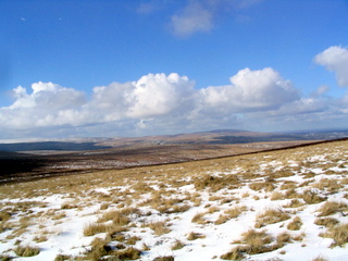 2006-03-01-15-06-24_chagford_common_coombe_down-007_chagfordcommon_shapley_coombe_down.jpg 2006-03-01-15-06-24_chagford_common_coombe_down-007_chagfordcommon_shapley_coombe_down.jpg chagfordcommon_shapley_coombe_down