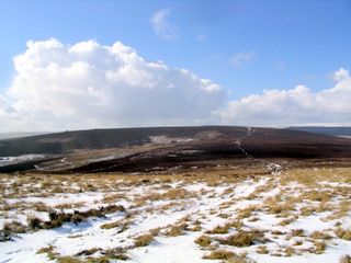 2006-03-01-15-06-32_chagford_common_coombe_down-009_chagfordcommon_shapley_coombe_down.jpg 2006-03-01-15-06-32_chagford_common_coombe_down-009_chagfordcommon_shapley_coombe_down.jpg chagfordcommon_shapley_coombe_down