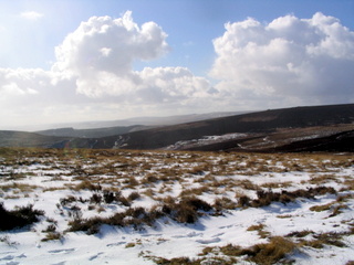 2006-03-01-15-06-37_chagford_common_coombe_down-010_chagfordcommon_shapley_coombe_down.jpg 2006-03-01-15-06-37_chagford_common_coombe_down-010_chagfordcommon_shapley_coombe_down.jpg chagfordcommon_shapley_coombe_down