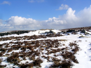 2006-03-01-15-09-28_chagford_common_coombe_down-011_chagfordcommon_shapley_coombe_down.jpg 2006-03-01-15-09-28_chagford_common_coombe_down-011_chagfordcommon_shapley_coombe_down.jpg chagfordcommon_shapley_coombe_down
