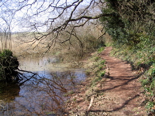 2006-03-19-14-16-19_strete_slapton-002_strete_slapton_torcross.jpg  strete_slapton_torcross 