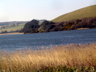 2006-03-19-14-39-01_strete_slapton-004_strete_slapton_torcross.jpg  strete_slapton_torcross 