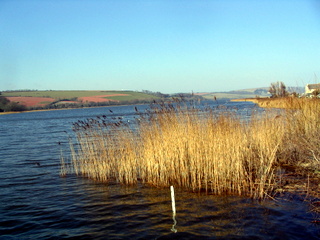 2006-03-19-15-20-02_strete_slapton-007_strete_slapton_torcross.jpg  strete_slapton_torcross 