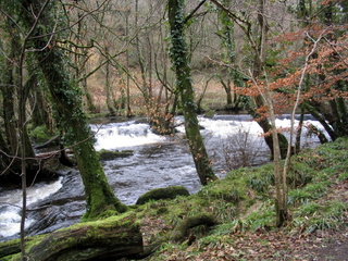 2006-03-26-11-06-19_chagford_teign-001_chagford_fingle.jpg  chagford_fingle 
